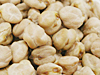 ひよこ豆、ガルバンゾー　豆の種類
