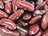 ダークレッドキドニービーン　豆の種類