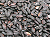 黒米（くろまい）　豆の種類